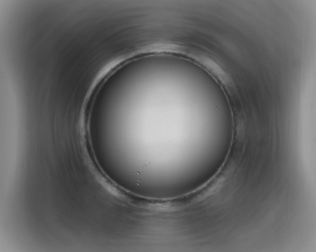 X0000115770990200911201215