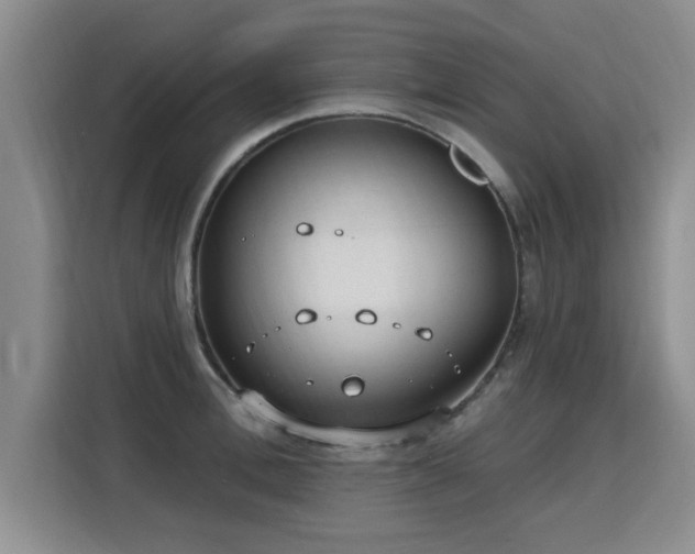 X0000115770996200911201215