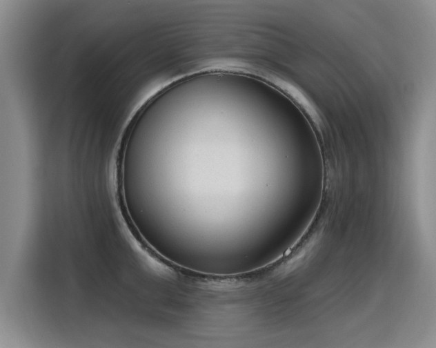X0000115770999200911201215