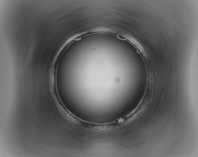 X0000115771000200911201215