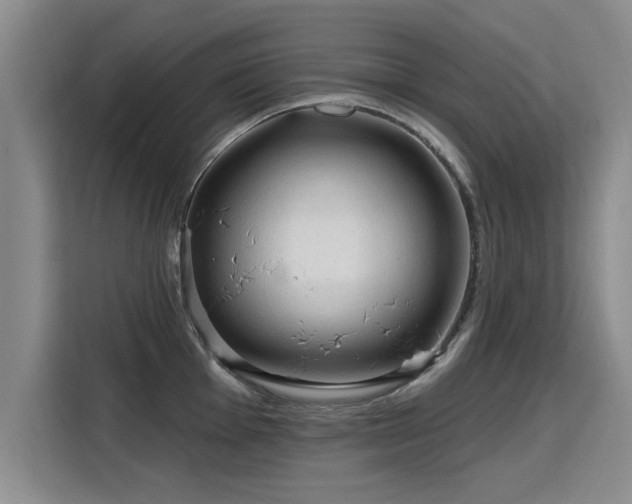 X0000115771001200911201215