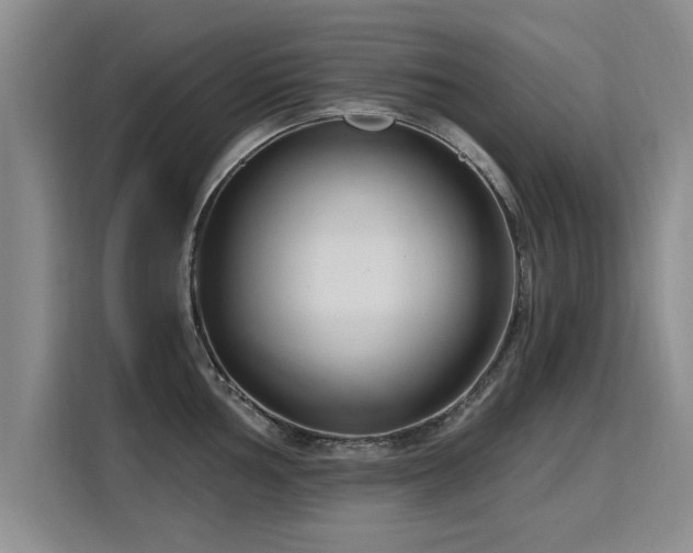 X0000115771002200911201215