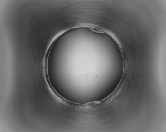 X0000115771003200911201215