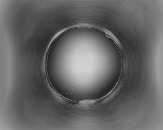 X0000115771004200911201215
