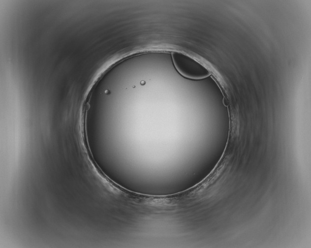 X0000115771006200911201215