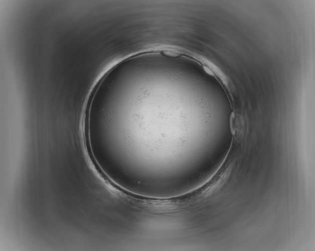 X0000115771007200911201215