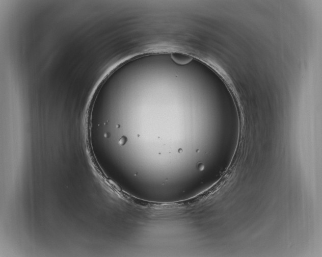 X0000115771008200911201215