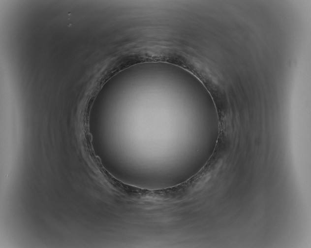 X0000115771009200911201214