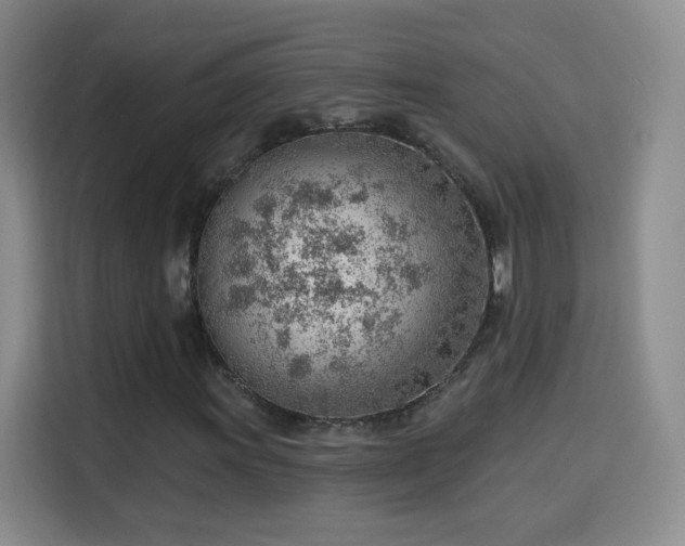 X0000115771011200911201214