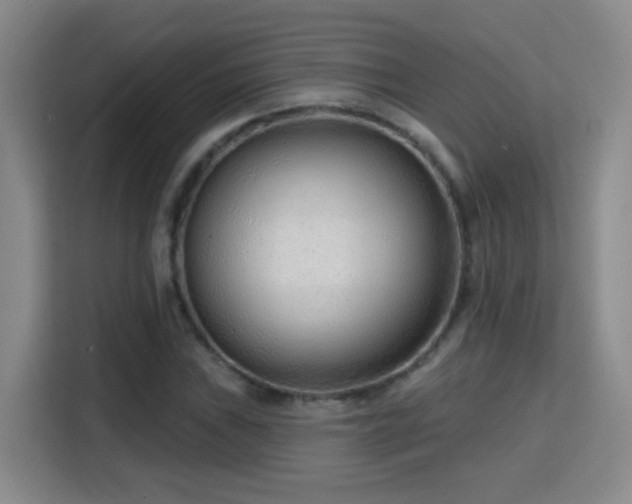 X0000115771019200911201214