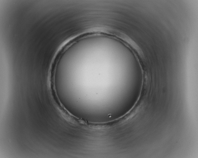 X0000115771020200911201214