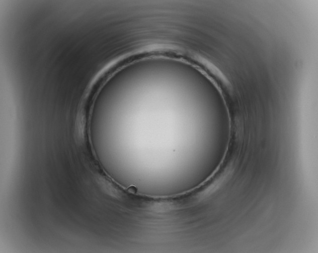 X0000115771021200911201214