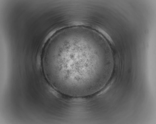 X0000115771023200911201214