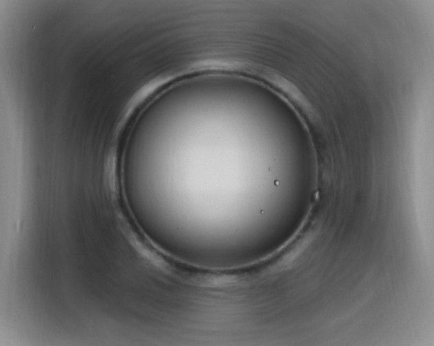 X0000115771030200911201214