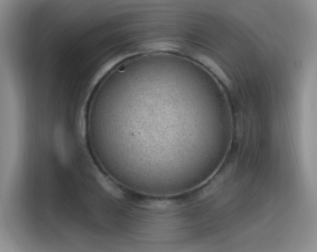 X0000115771031200911201214