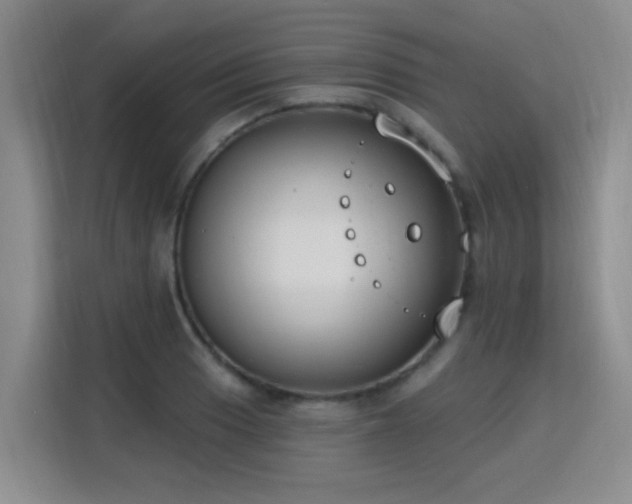 X0000115771033200911201214