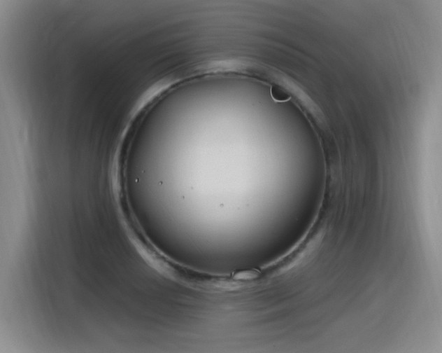 X0000115771034200911201214