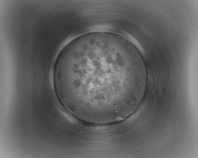 X0000115771035200911201214