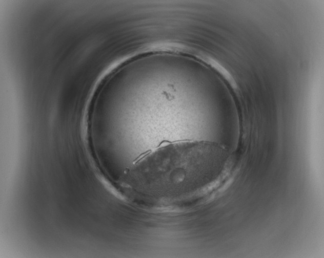 X0000115771037200911201214