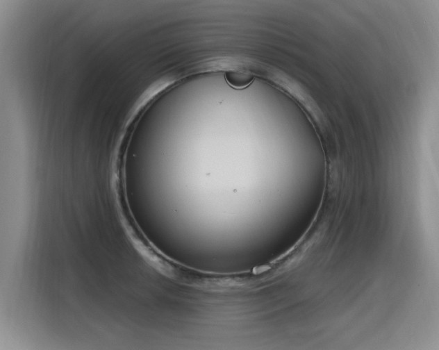 X0000115771042200911201214