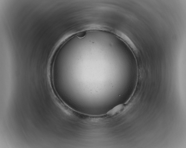 X0000115771043200911201214