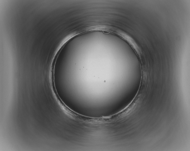 X0000115771050200911201214
