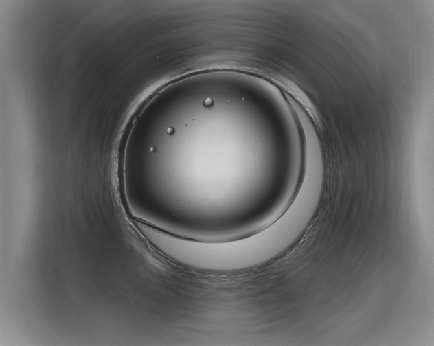 X0000115771051200911201214