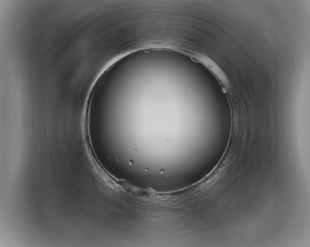 X0000115771052200911201214