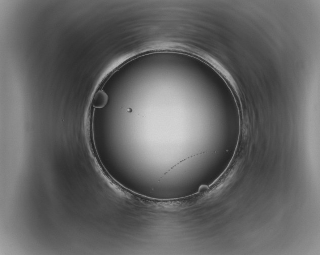 X0000115771053200911201214
