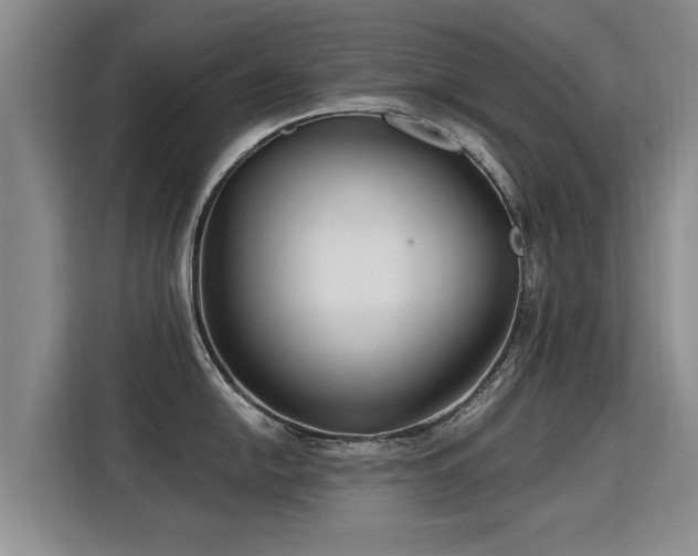 X0000115771054200911201214
