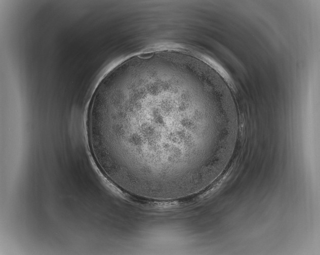 X0000115771055200911201214