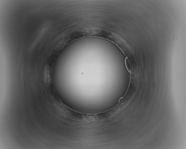 X0000115771058200911201214