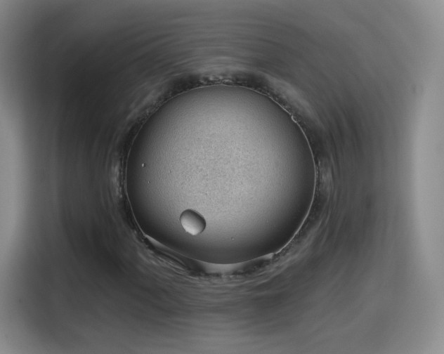 X0000115771060200911201214