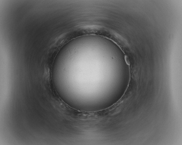 X0000115771061200911201214