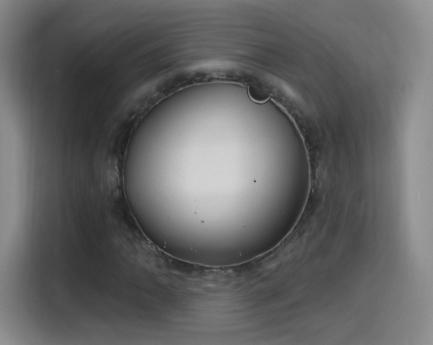 X0000115771062200911201214