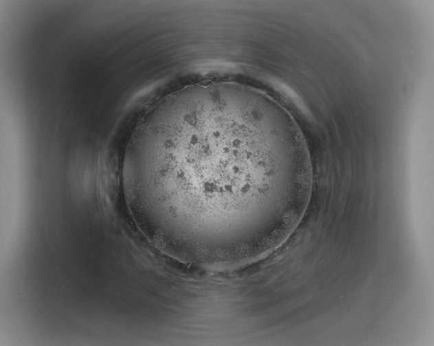 X0000115771063200911201214