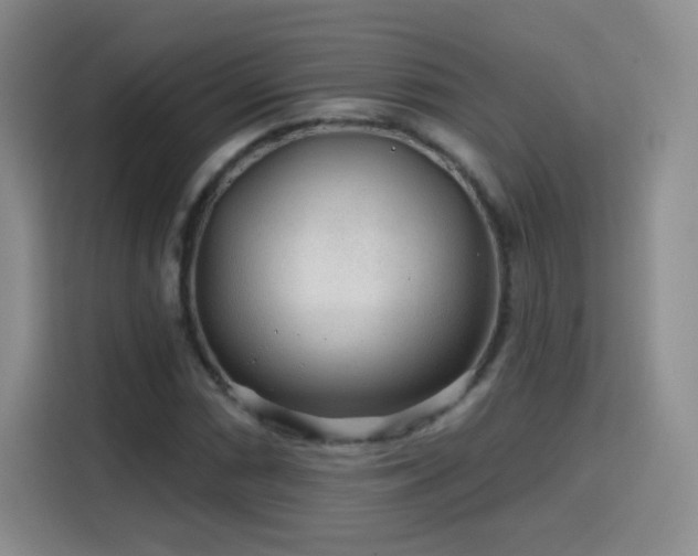 X0000115771066200911201214