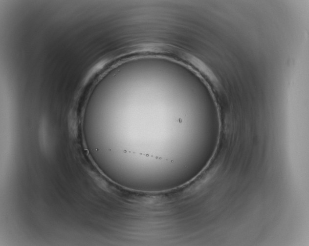 X0000115771067200911201214
