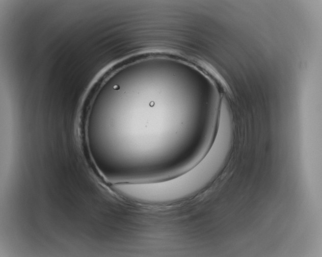 X0000115771068200911201214