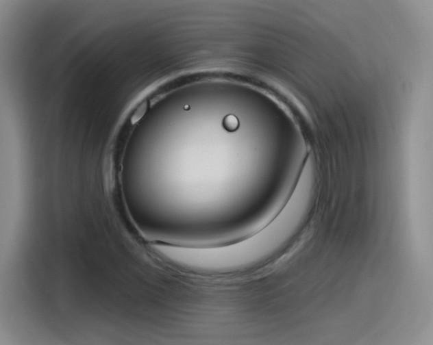 X0000115771069200911201214