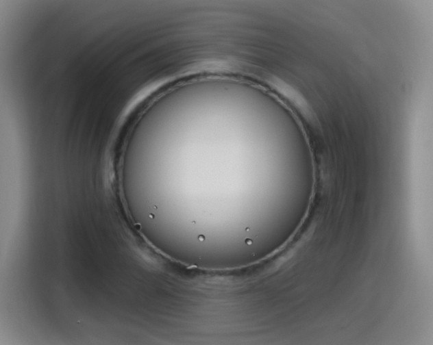 X0000115771070200911201214