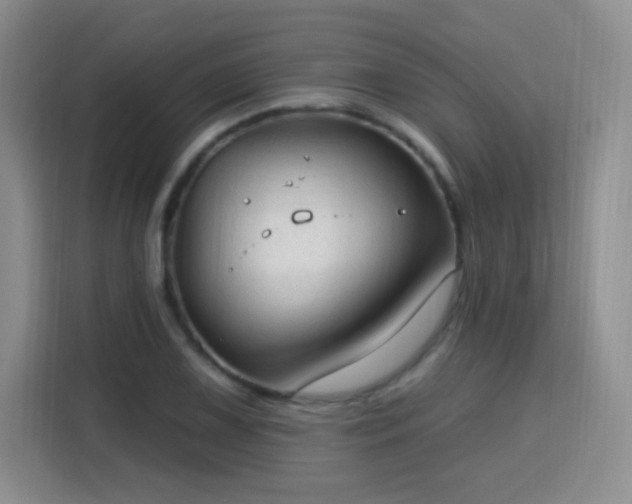 X0000115771075200911201214