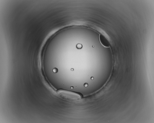 X0000115771080200911201214