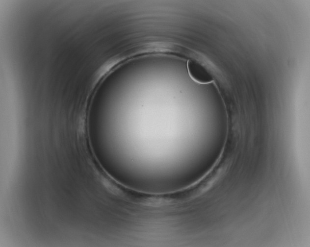 X0000115771081200911201214