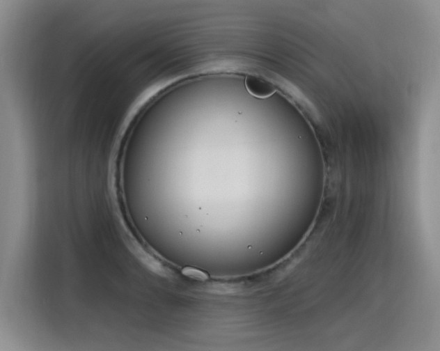 X0000115771086200911201214