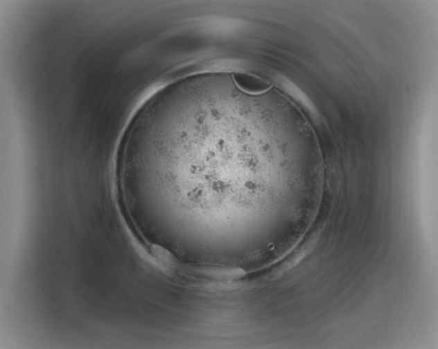 X0000115771087200911201213