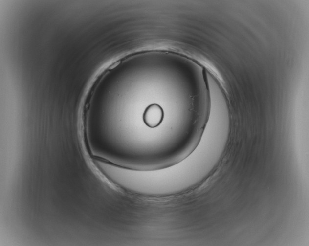 X0000115771088200911201213