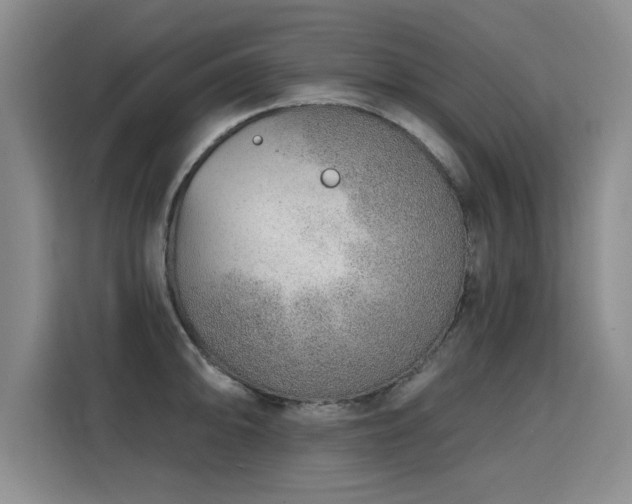 X0000115771094200911201213