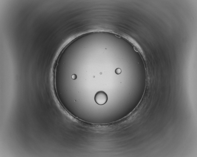 X0000115771096200911201213