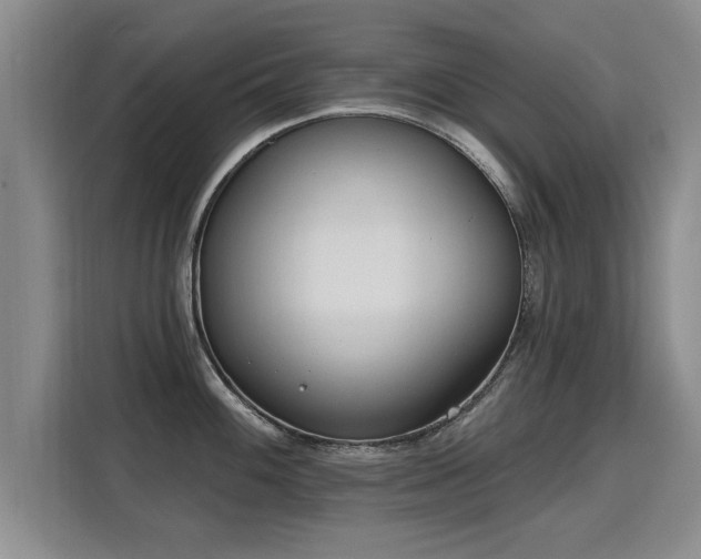 X0000115771100200911201213